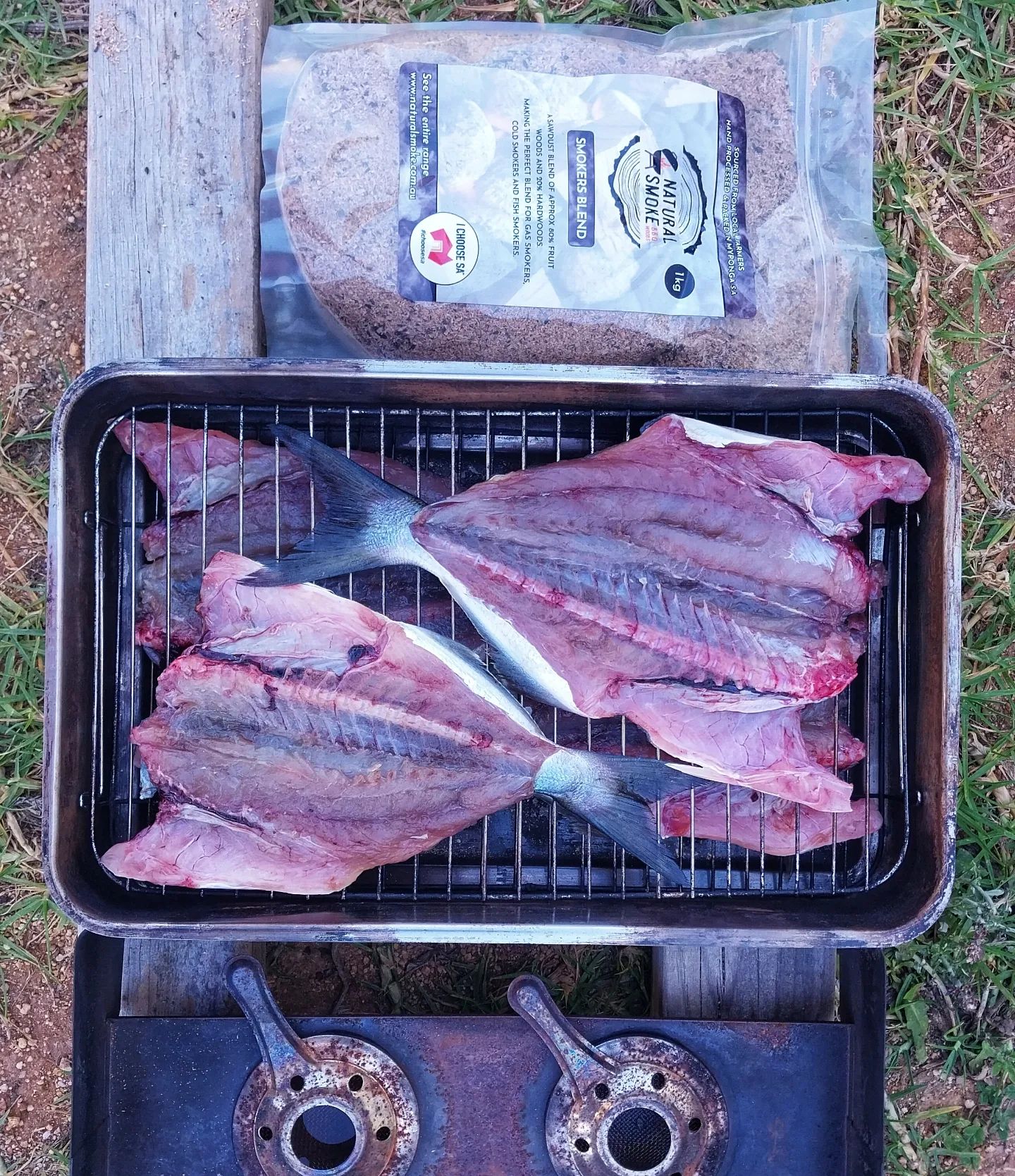 counter reel for snapper fishing Cold Water Low Profile 