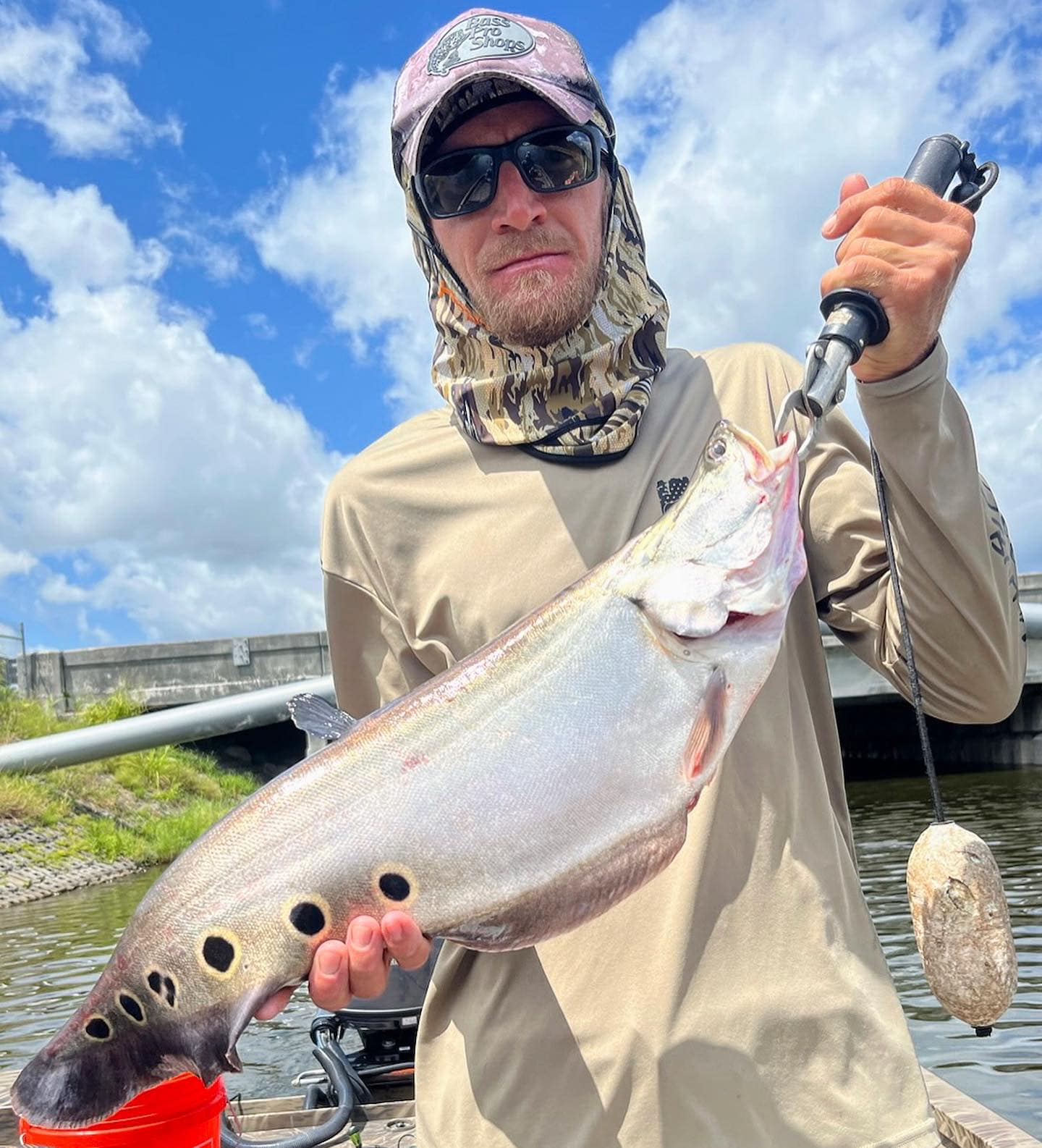 etta may tackle box Meiho City Luck 65 This compact 12.5L x Autor_Akimi Yoshida Model:BBRAR17-76 Colmic Must Seatbox -