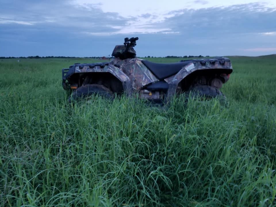 Warfield Bermuda Sprigging & Horse Quality Hay | Cleo Springs OK