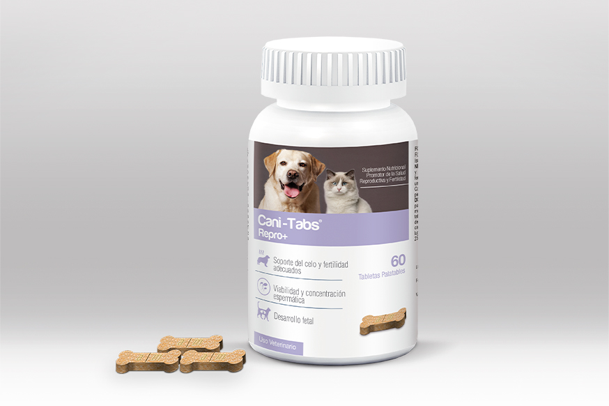 Bulldog - ¿Conoces Cani-Tabs? 🐶💊 Cani-Tabs es un promotor del sistema ...