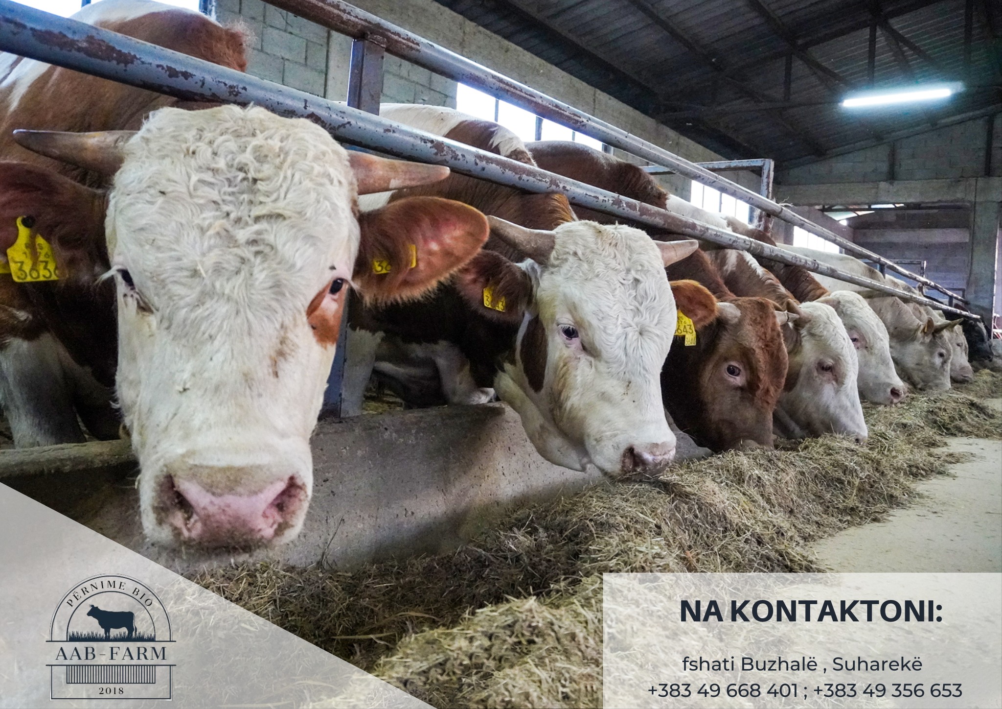 AAB-Farm | Suharekë