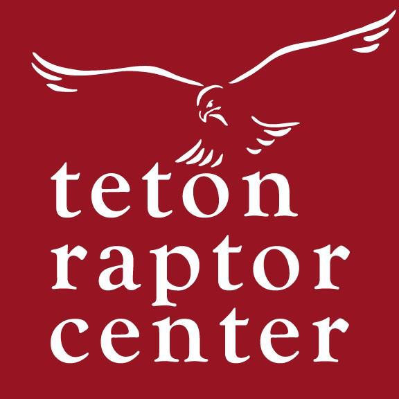 Happy #WorldMigratoryBirdDay!🪶🦉🦅 This #RaptorMonth we continue to ...