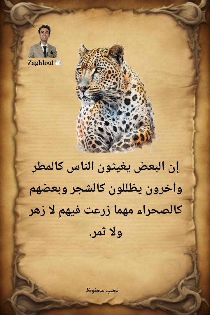 Ibrahim Roshdy