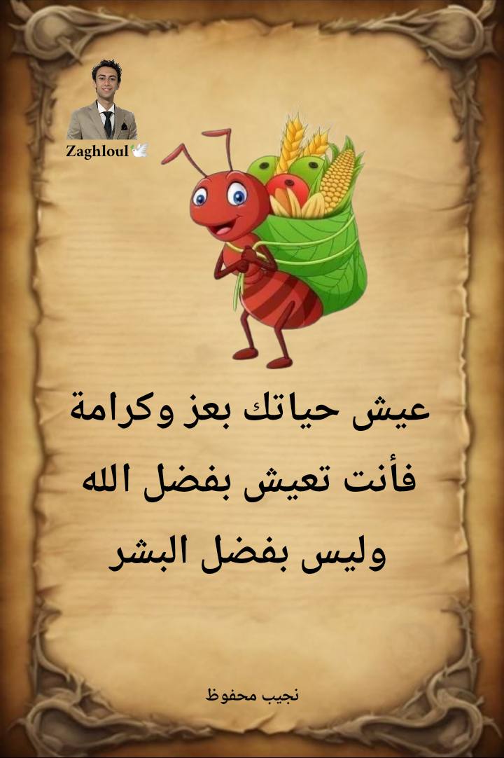 Ibrahim Roshdy