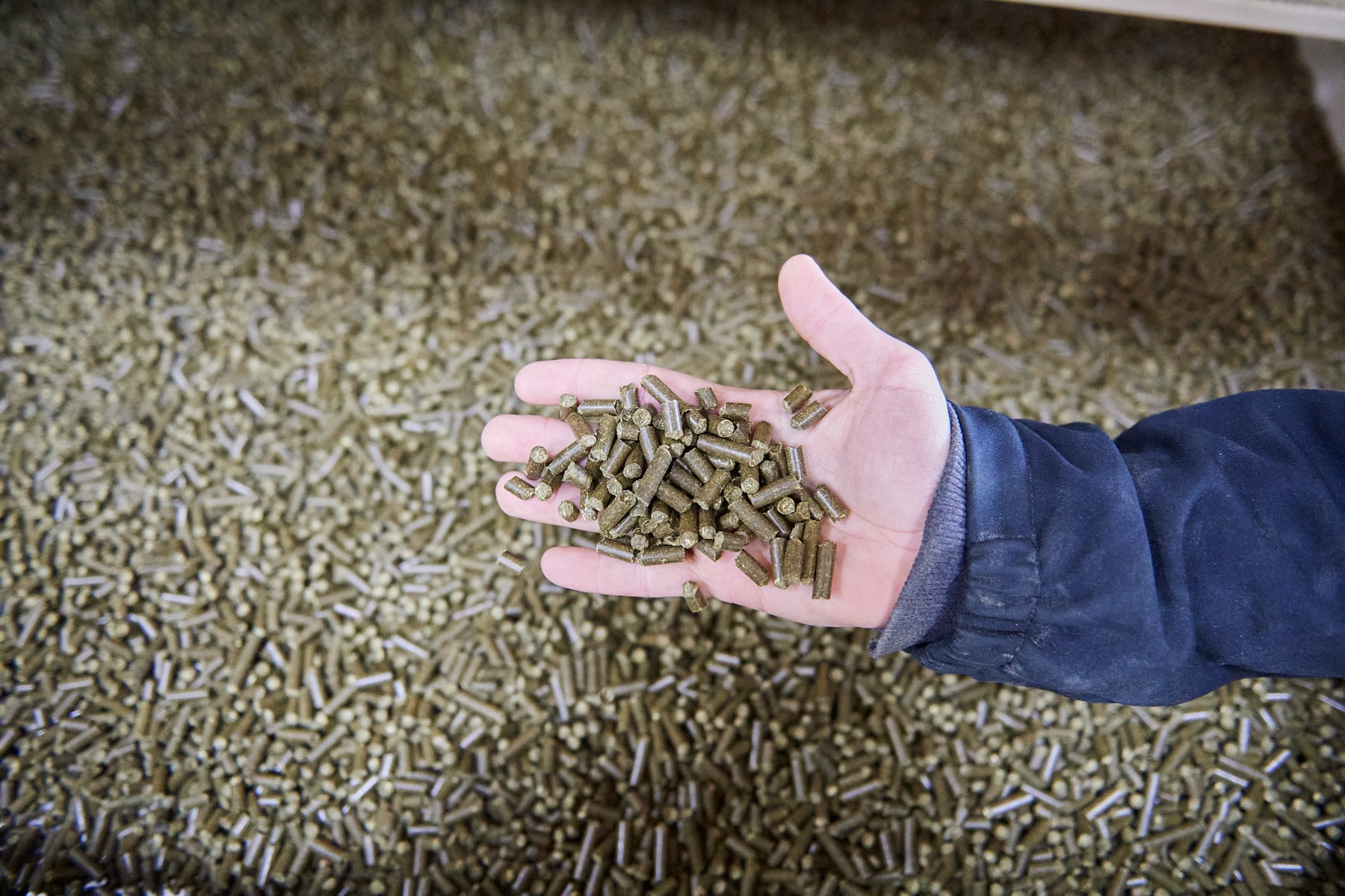 Jordan Process - Our proprietary extraction and refinement facilities ...