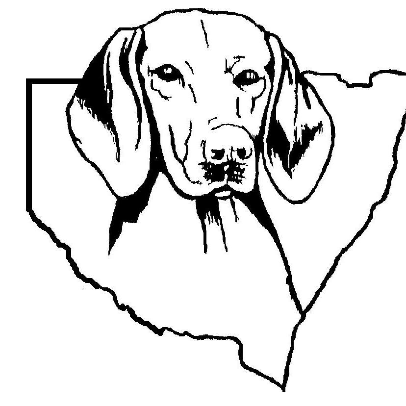 HVCNSW and HVCV are... - Hungarian Vizsla Club of NSW | Facebook