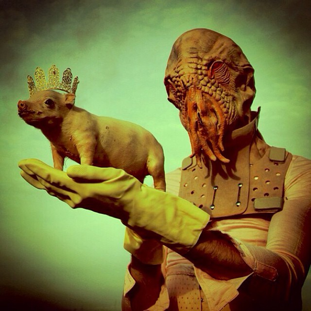 Mothmeister is an Antwerp based duo creating post mortem fairy