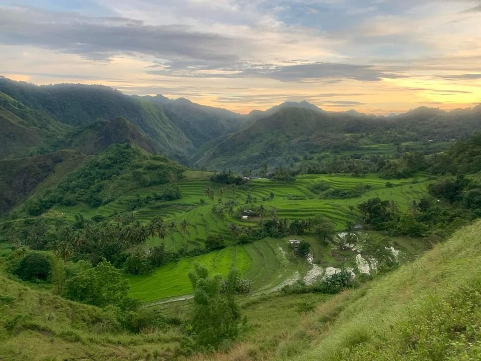 Antique Rice Terraces 💚🌾💚... - Discover Antique, Philippines