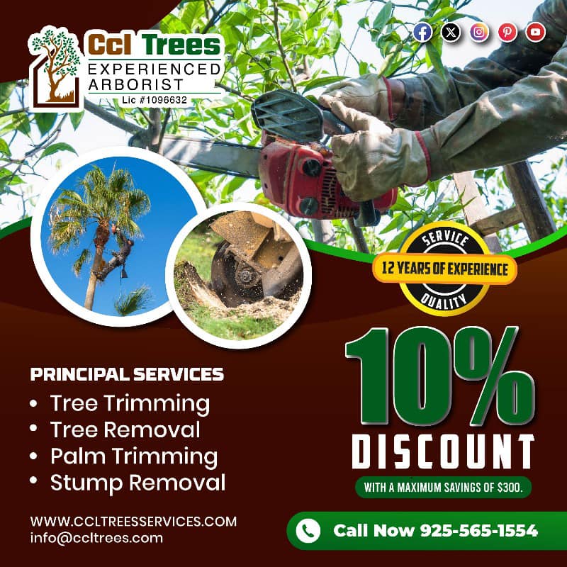 CCL Trees Services | Oakley CA