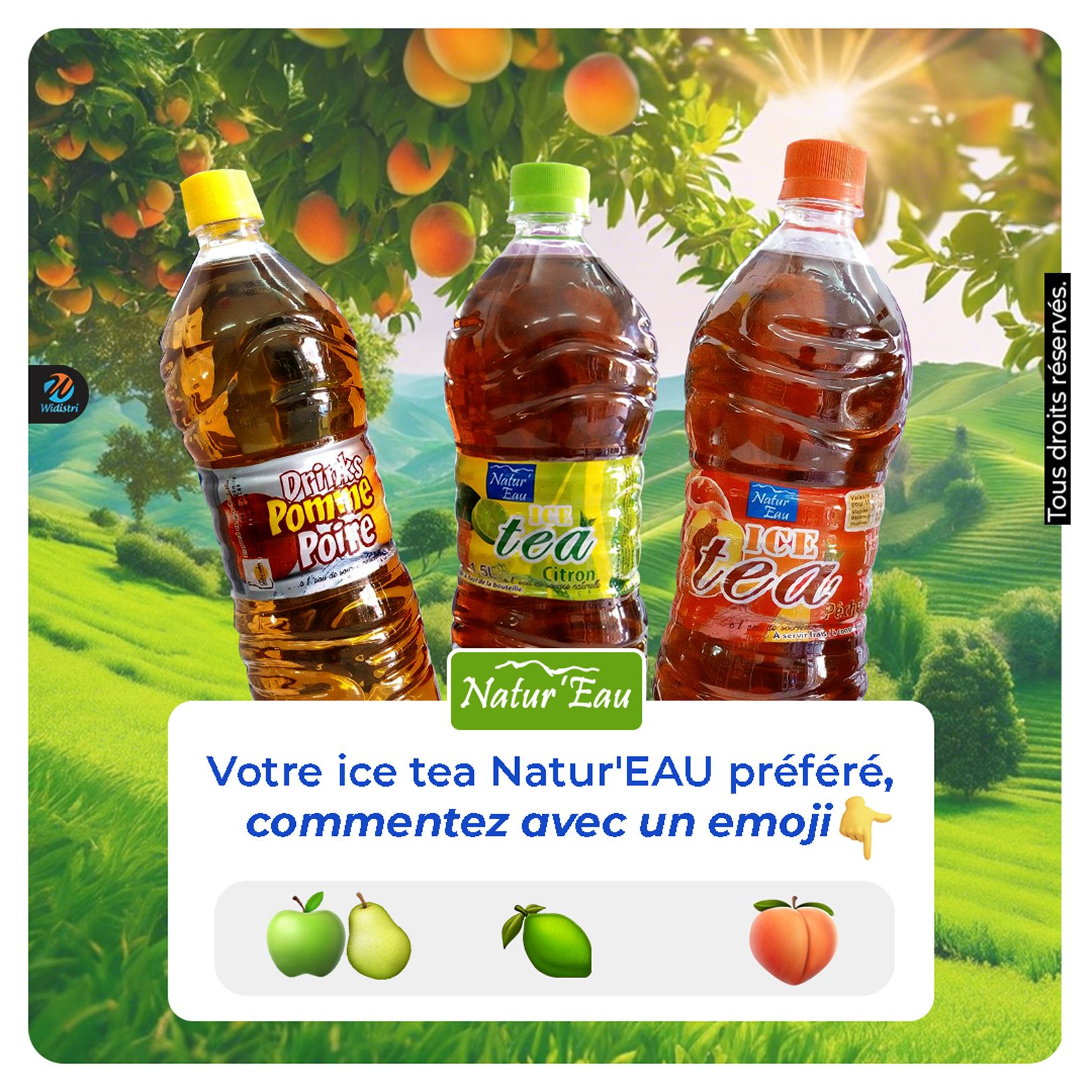 Widistri - Découvrez la variété des ice teas Natur'Eau ! Quelle saveur ...