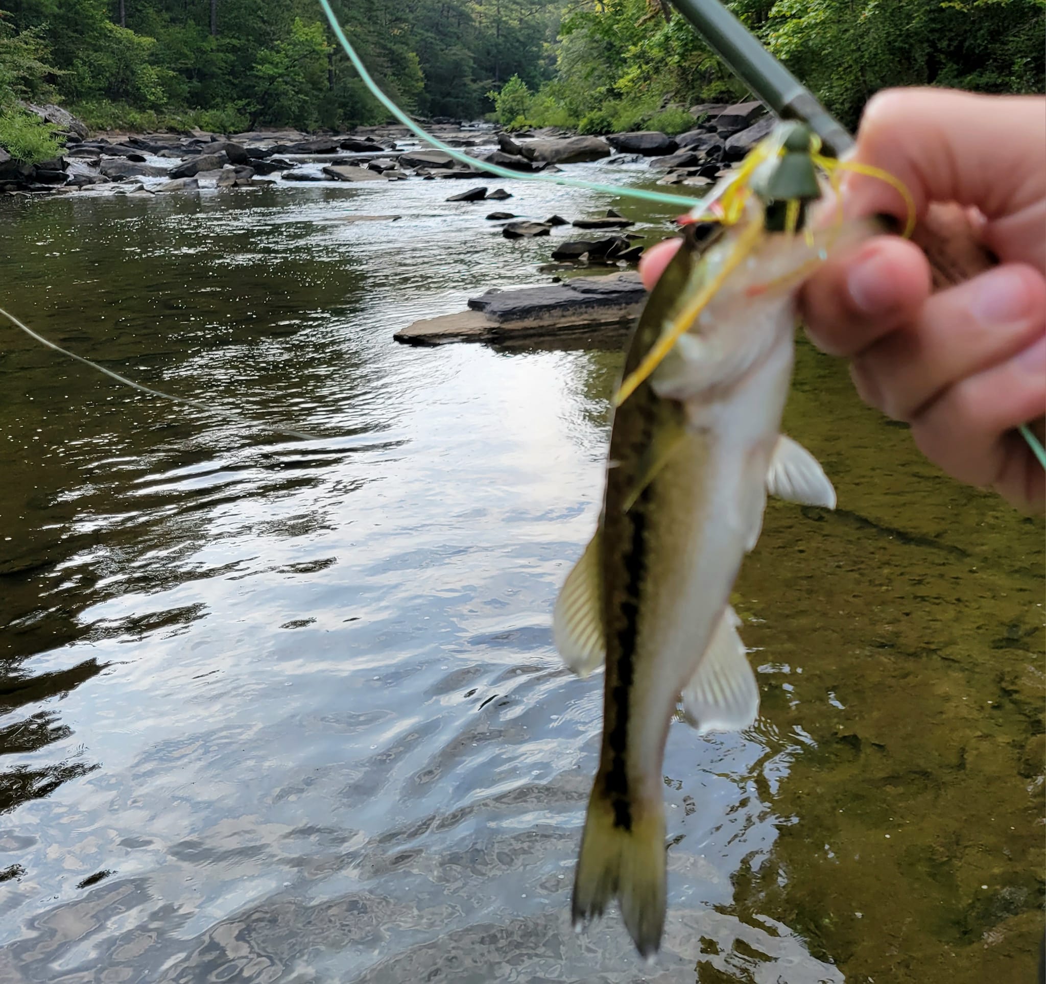 st croix hair jig rod St. Legend Tournament Walleye LWTS80MLF2 Spinning Reel Features_Levelwind Color:Natural & Pumpkin Dr.Fish 5pcs Long Casting premium SCII carbon