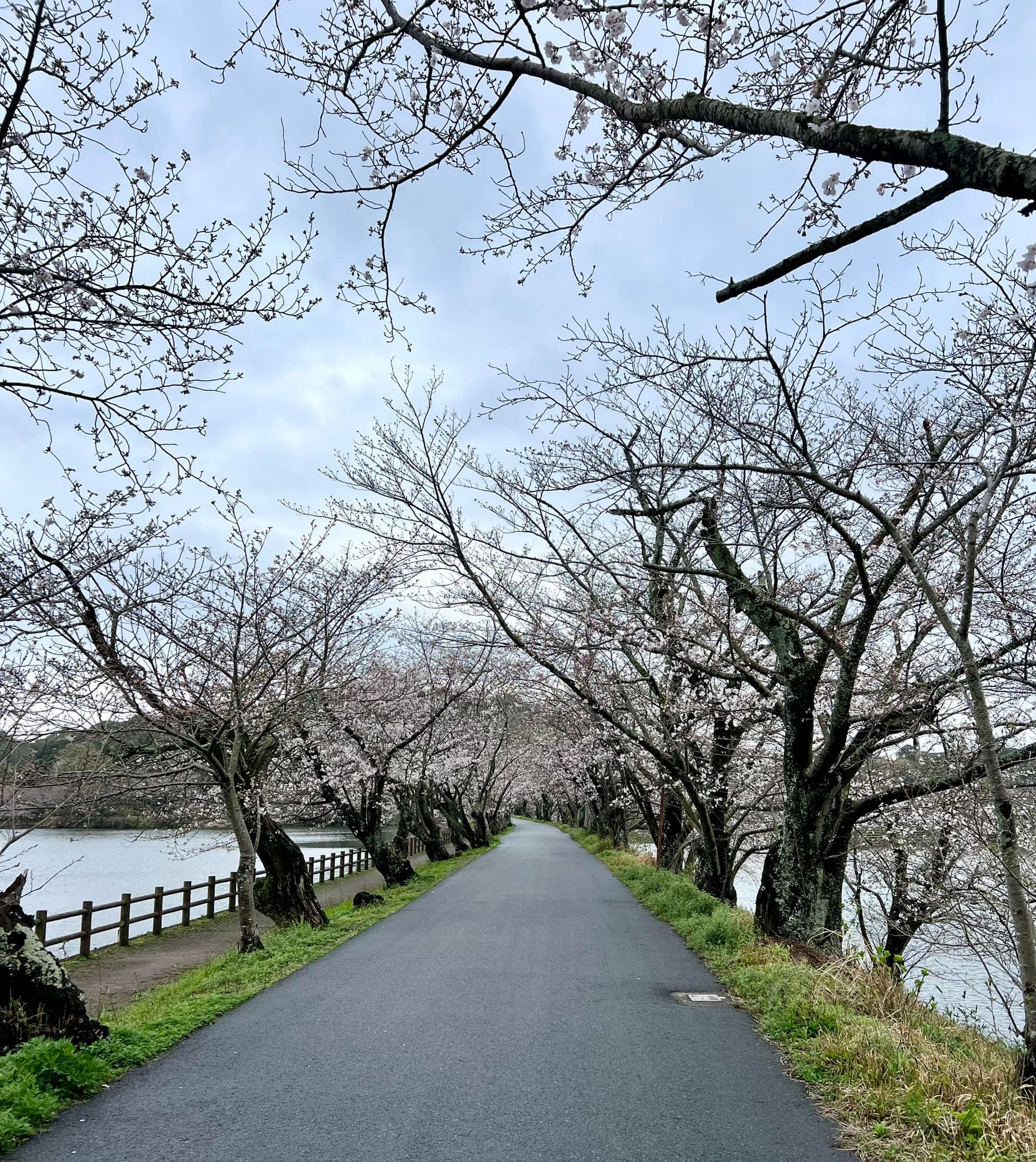 宇土市観光物産協会 | Uto-shi Kumamoto