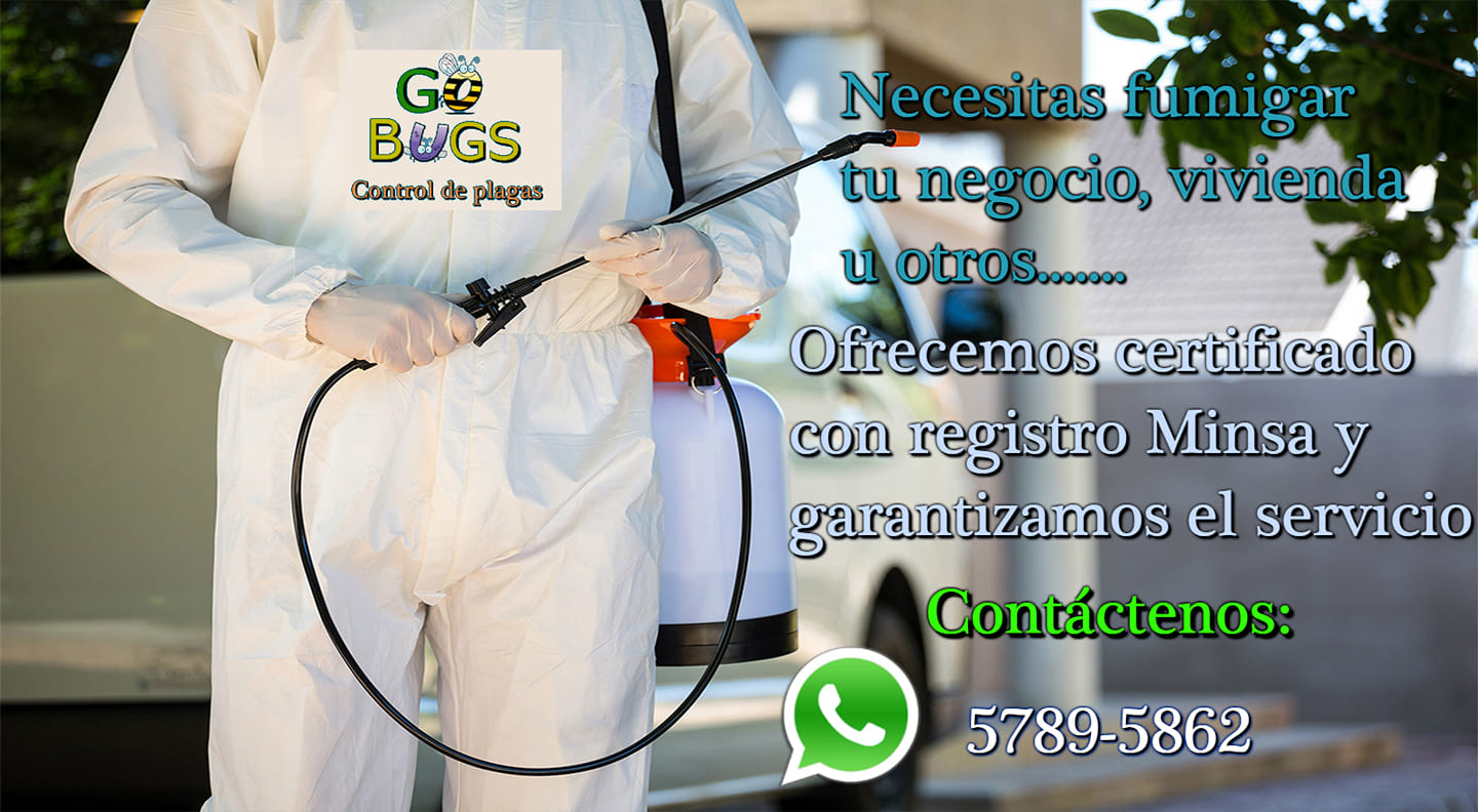 GO BUGS - #GOBUGS LLAMANOS SI NECESITAS FUMIGAR O... | Facebook