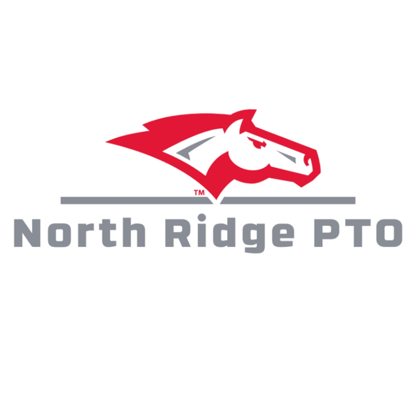 North Ridge Elementary DC-G PTO on Reels