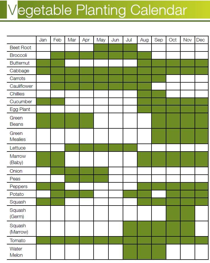 Syngenta - You can never run short of what to plant throughout the year ...