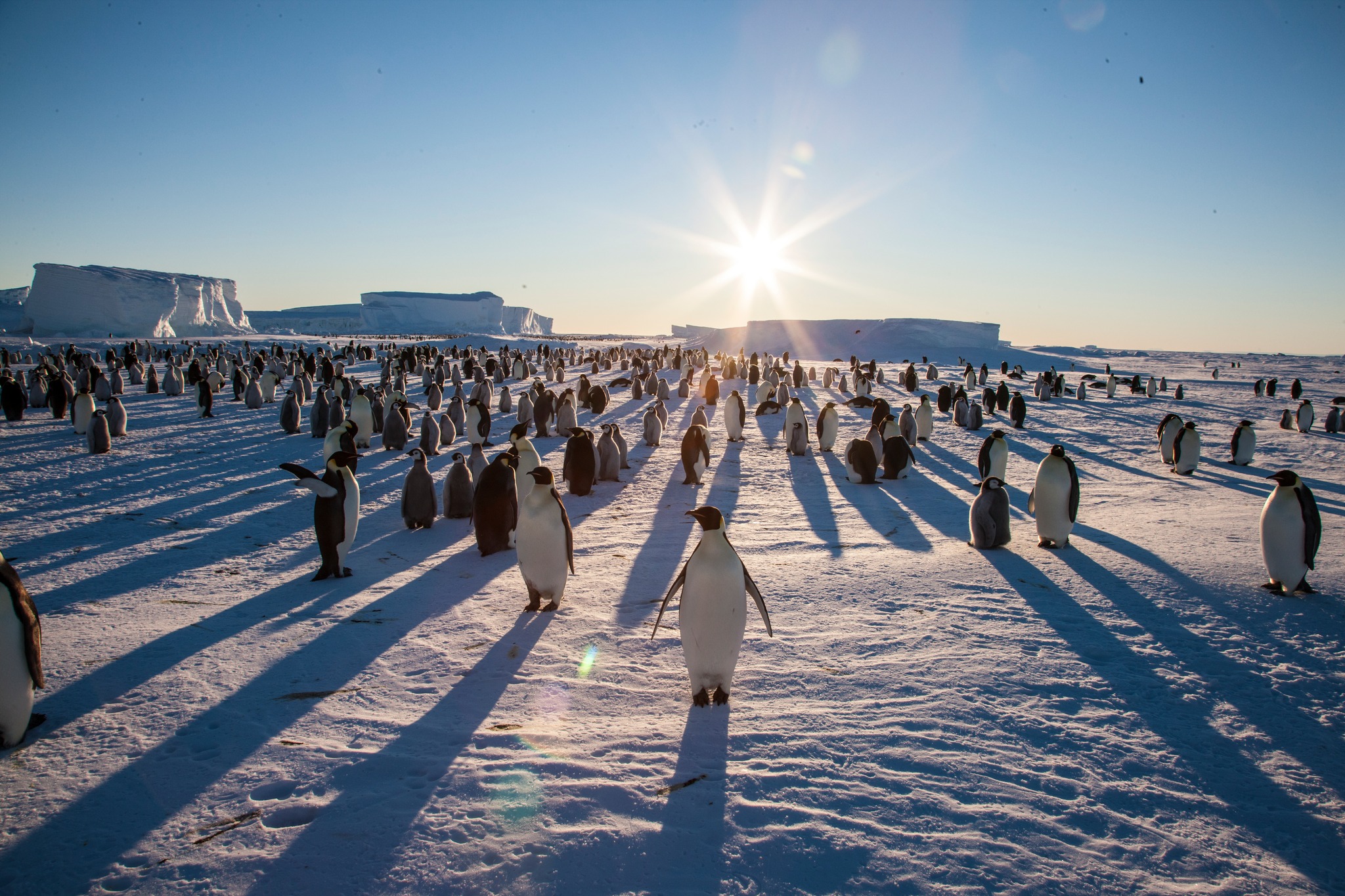 National Geographic Asia added... - National Geographic Asia
