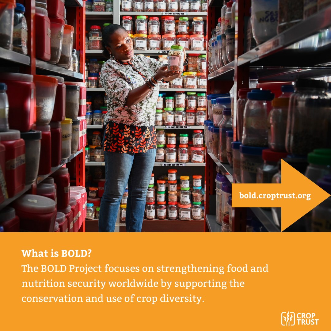 Crop Trust - The #BOLDcwr project: 🔹 helps genebanks...