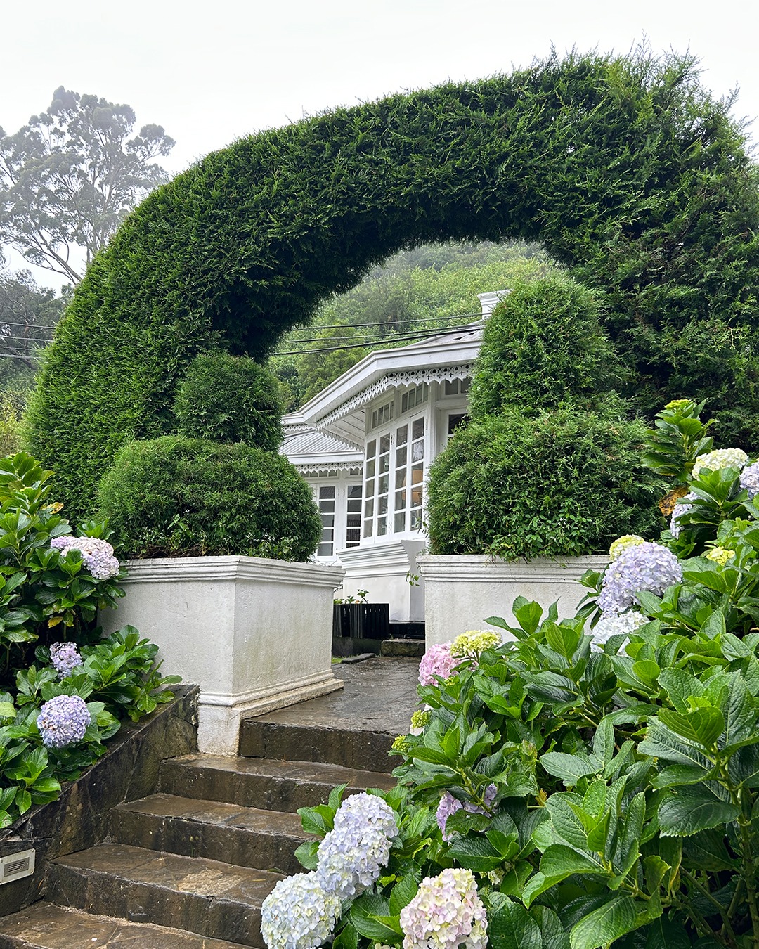 The Golden Ridge Nuwara Eliya | Nuwara Eliya