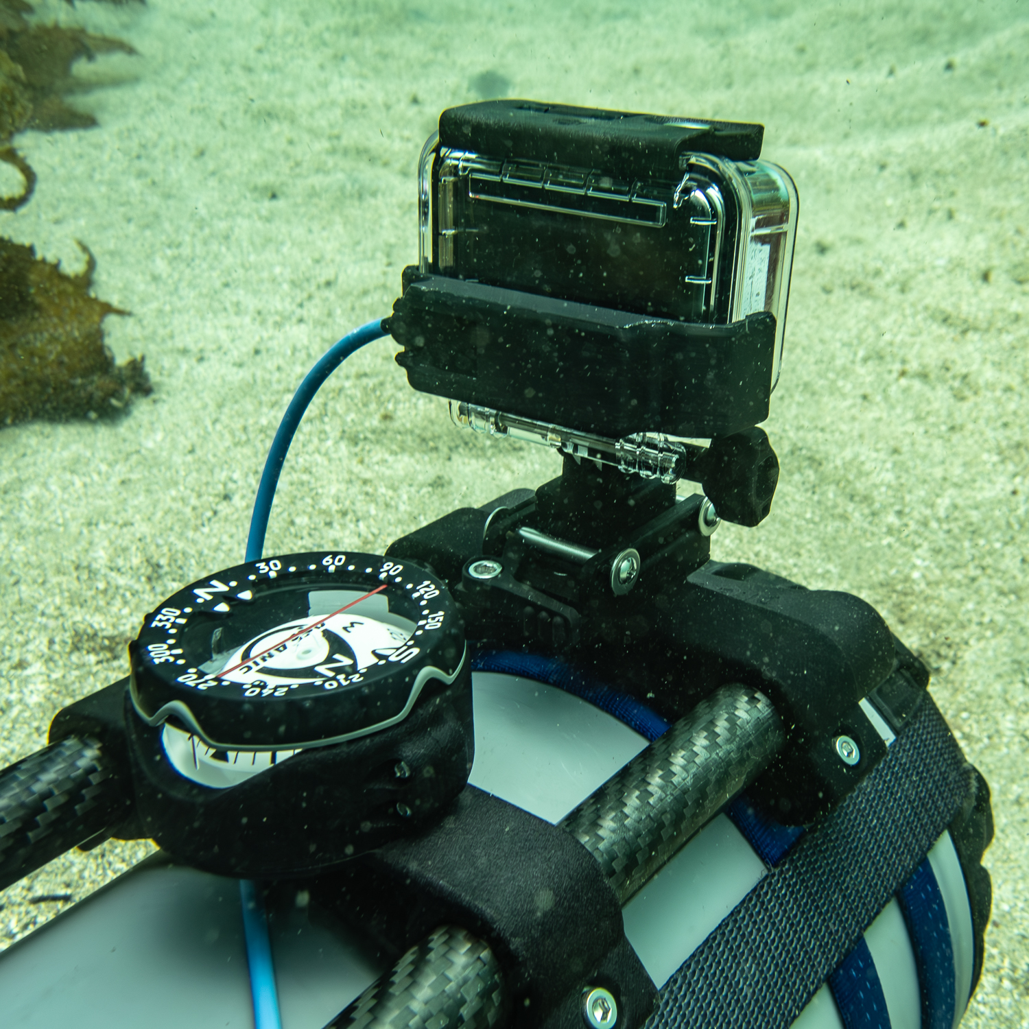Dive Diversions | Sydney NSW