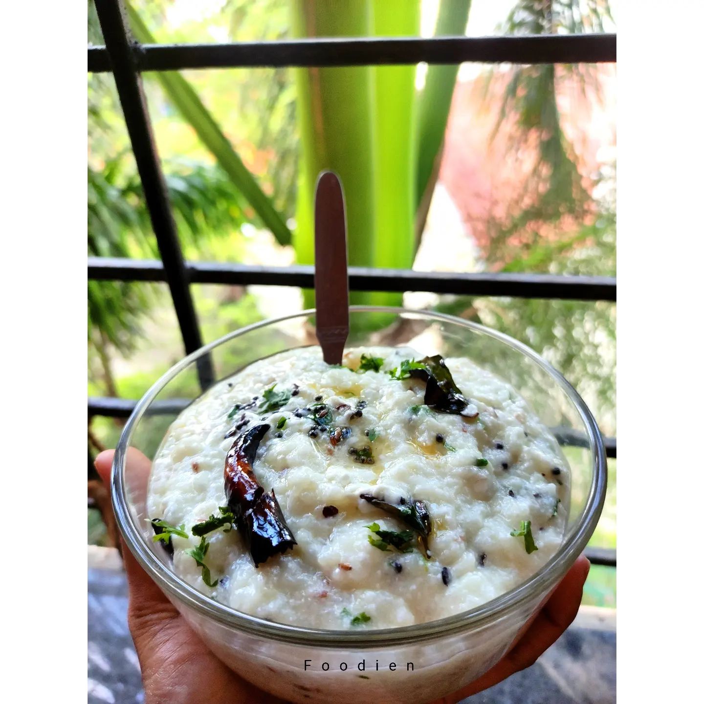 Foodien - Curd Rice 🤍🍚 Curd rice is the simplest and filling meal to ...