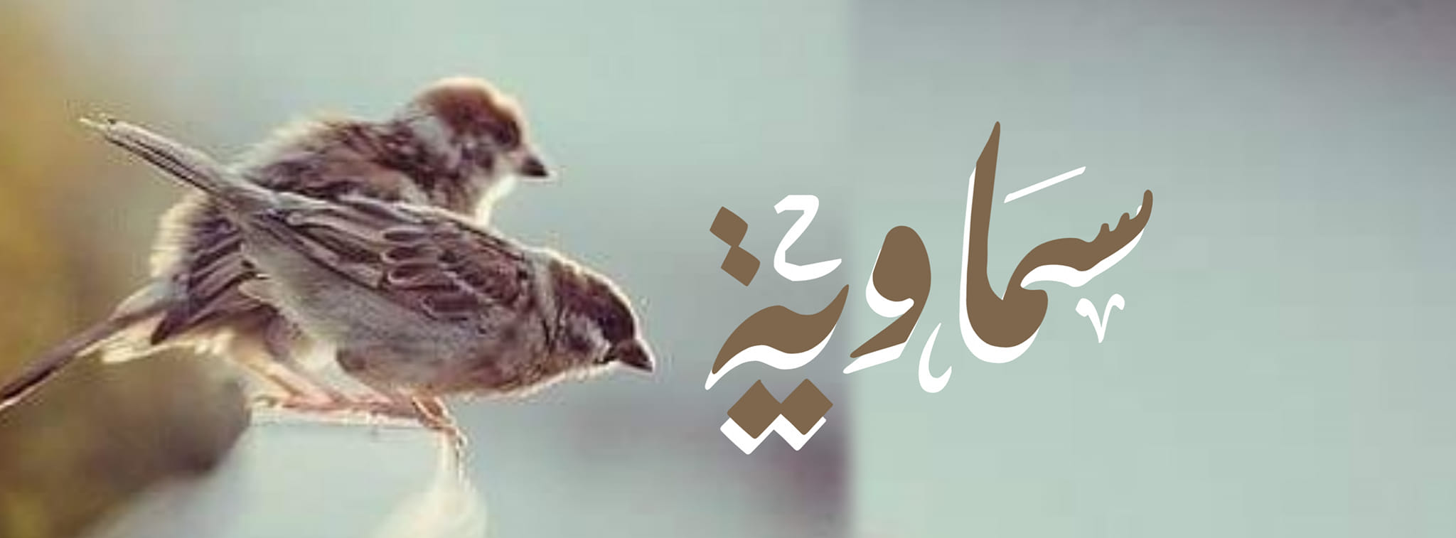 نـ ـبـ ـضـ ـات قلب - احترِمُوا #عزْلَةَ البعْضِ المُؤقـتَة؛ ورغبَتَهُم ...