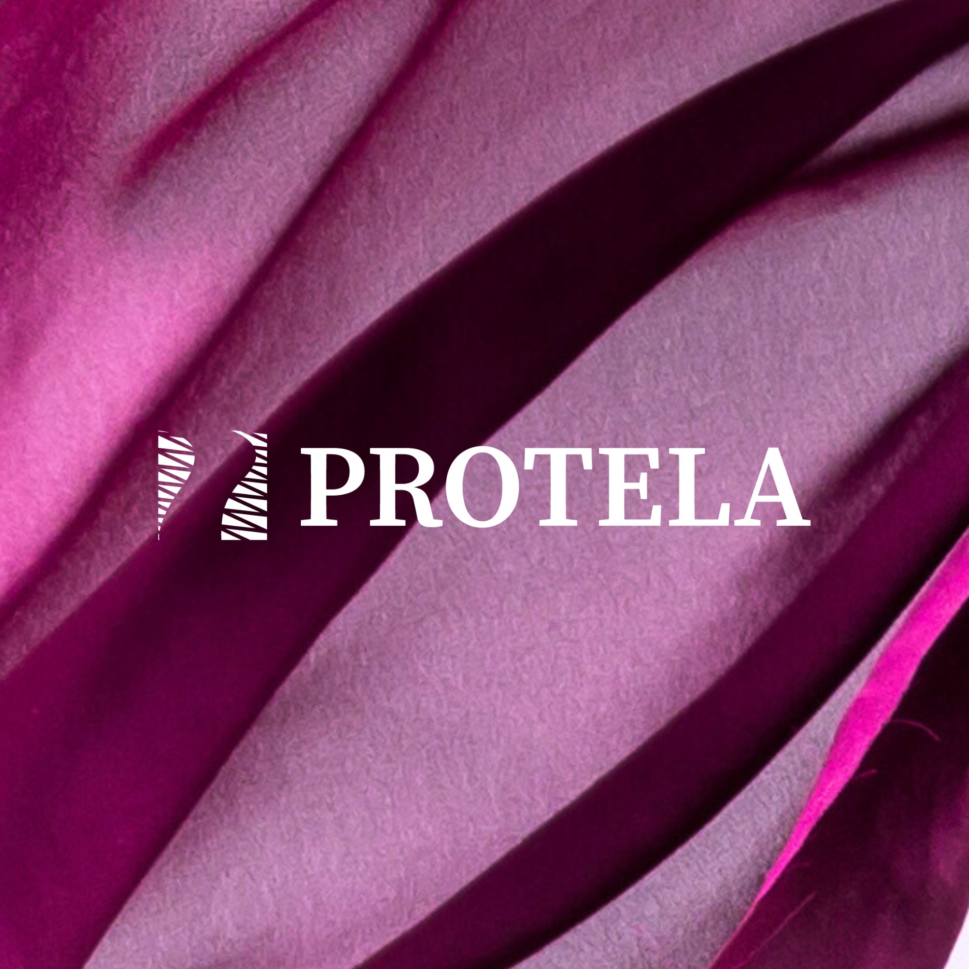 Protela Textiles | Bogotá