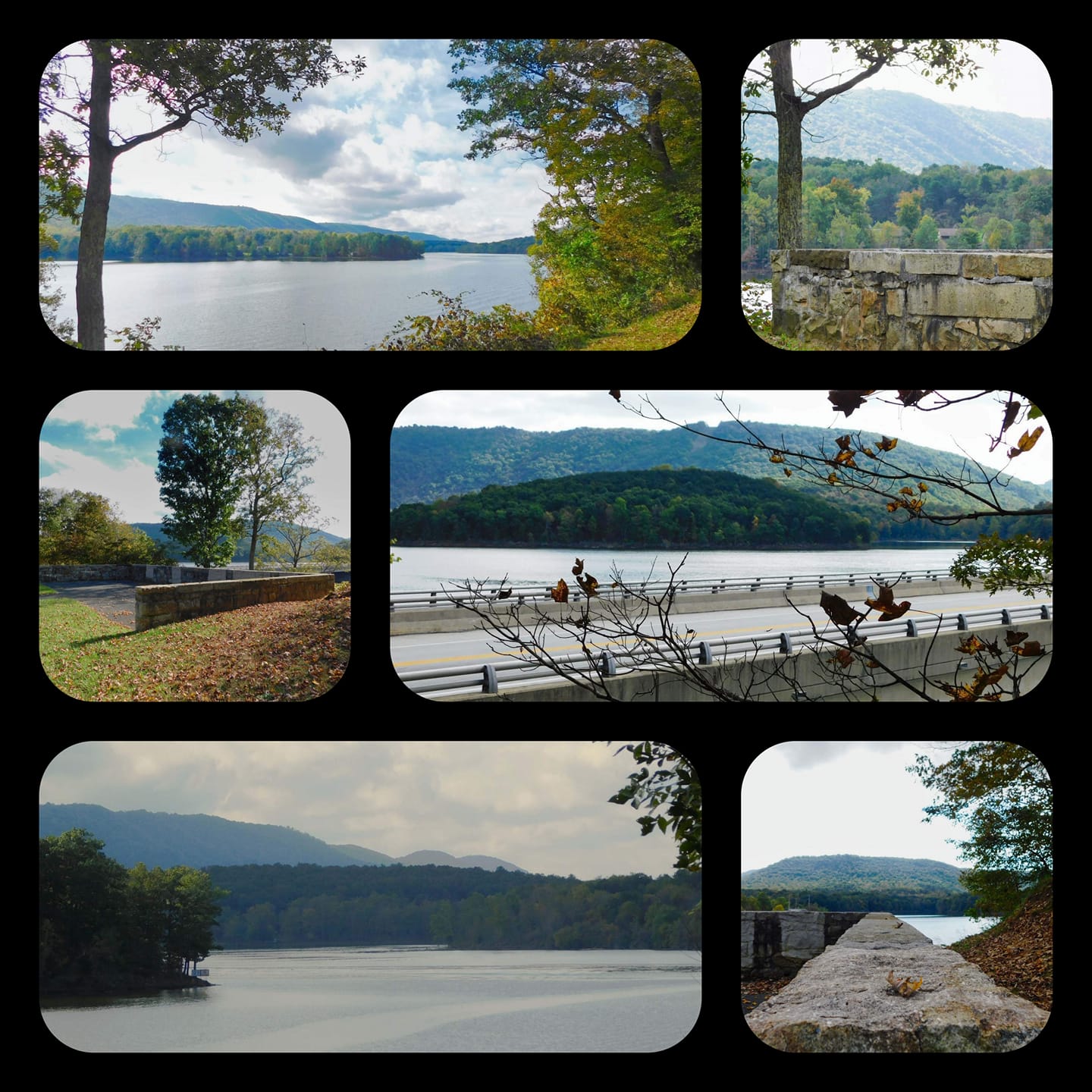 New pictures uploaded at our... - Pioneer Mountain Homestead | Facebook