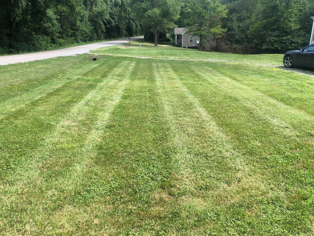 💚 💚 💚 - On TIme Lawn Care