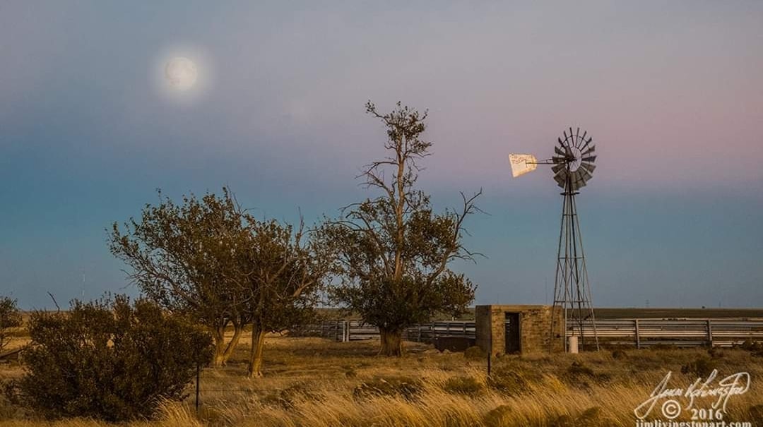 OWL RANCH | Claude TX