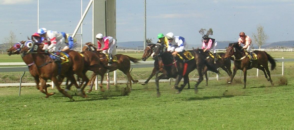 Clifton Races 2023 | Facebook