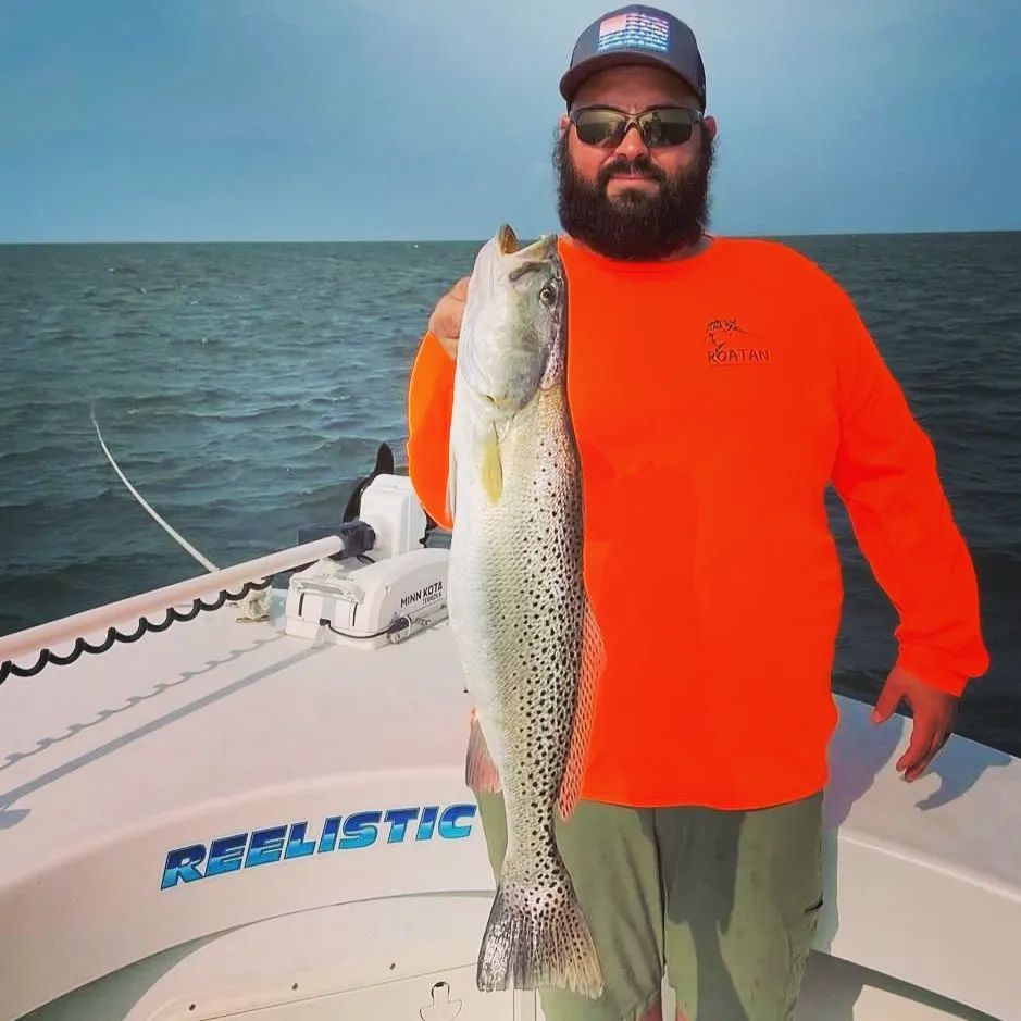 Master Baits Company