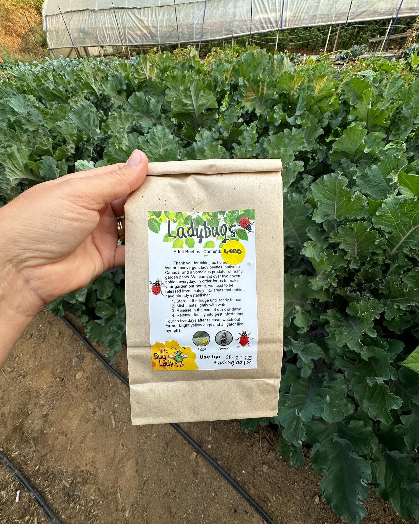 Local Roots Farm