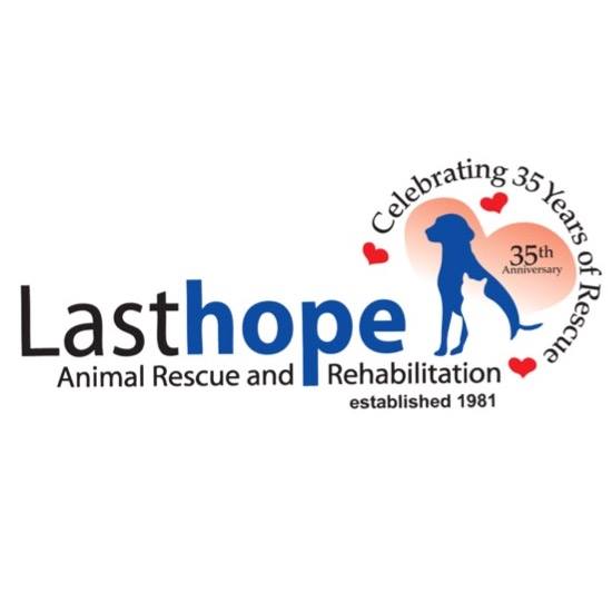 Last Hope Inc - 🍯 Today Winnie-the-Pooh and his friends... | Facebook