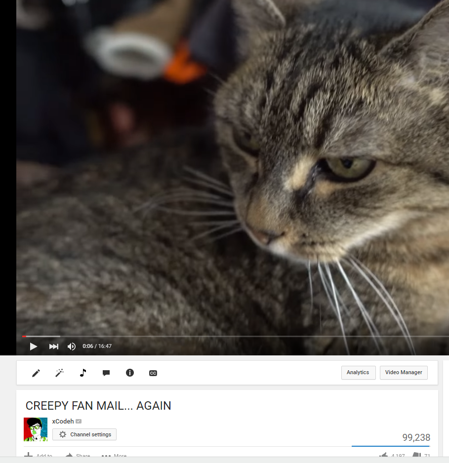 xCodeh - I think it's absolutely crazy that my cat has been seen by ...