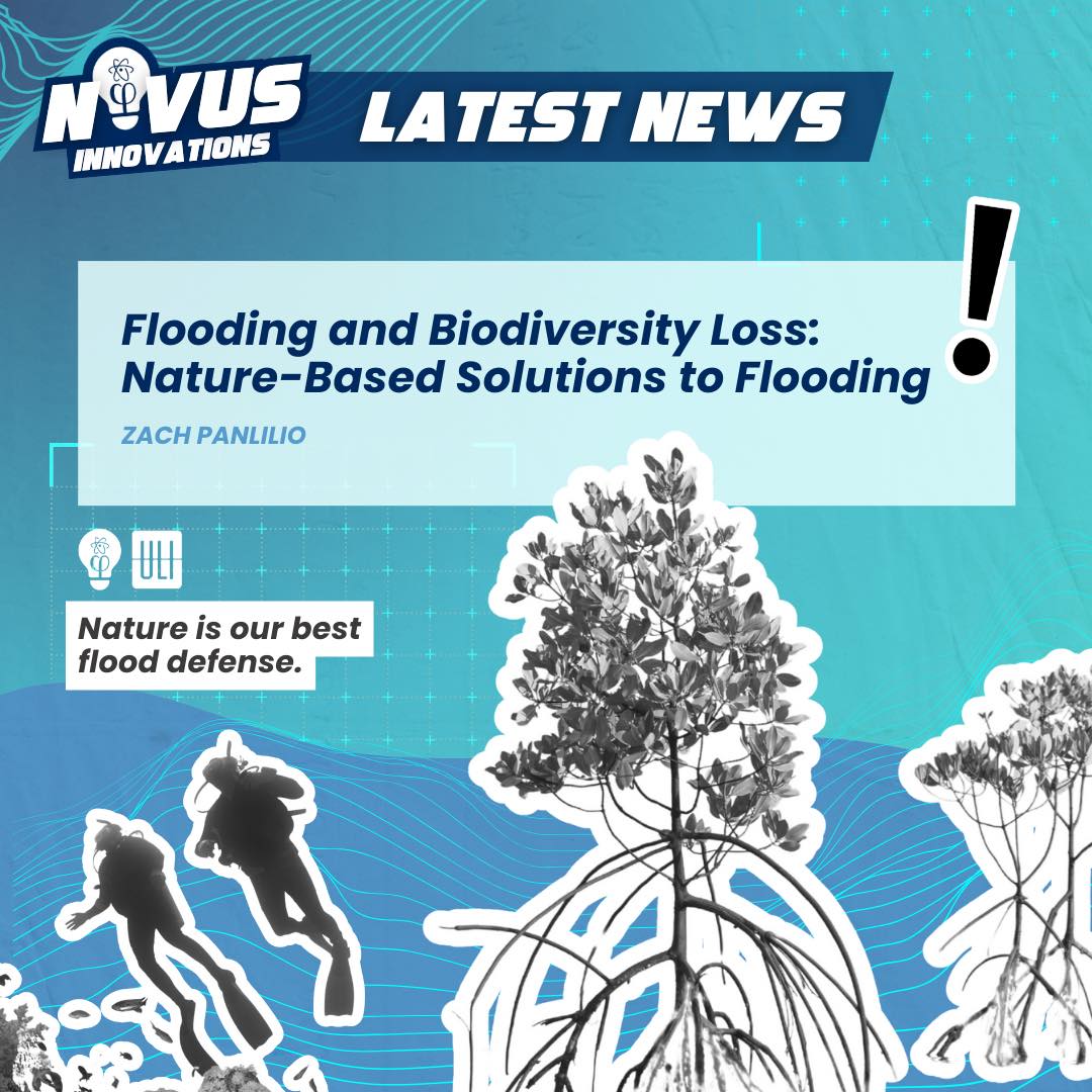 🌊 Floods & Biodiversity Loss:... - NOVUS Case Competition | Facebook