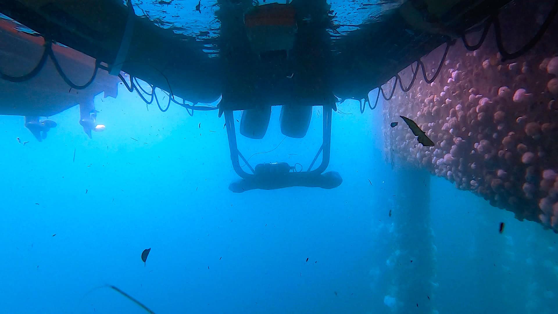Canadian Coast Guard Rigid Hull Inflatable Operator Training-Pacific ...