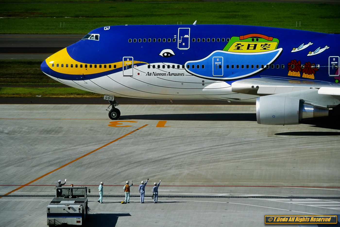 ✈Memory for the ANA B747-400D & Large 787 Logo たった1秒だって俯