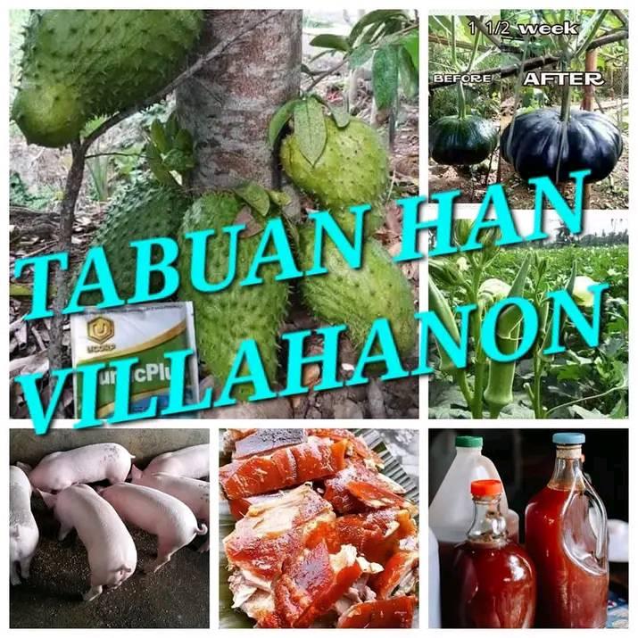 TABUAN HAN VILLAHANON 🍍🍌🍆🥬🌶🍅🥜🥦🥬🌽🥕 | hino po nag aayad LCD | Facebook