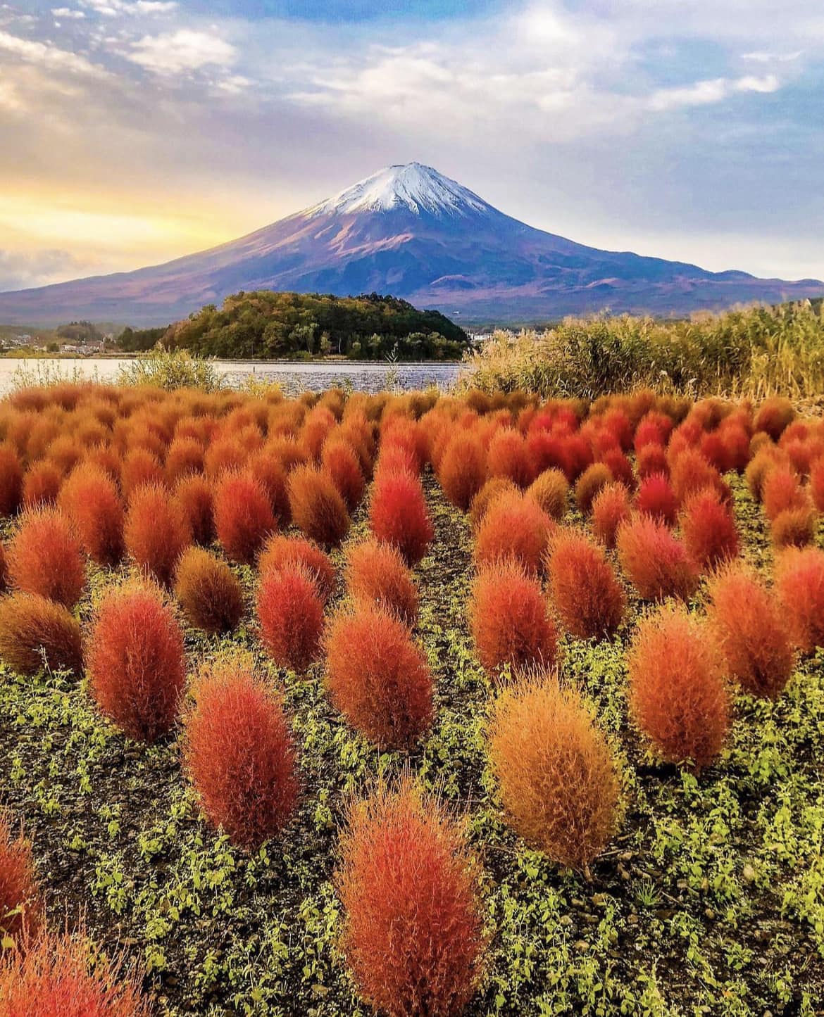 Mount Fuji in autumn from Lake Kawaguchi in Yamanashi Prefecture
