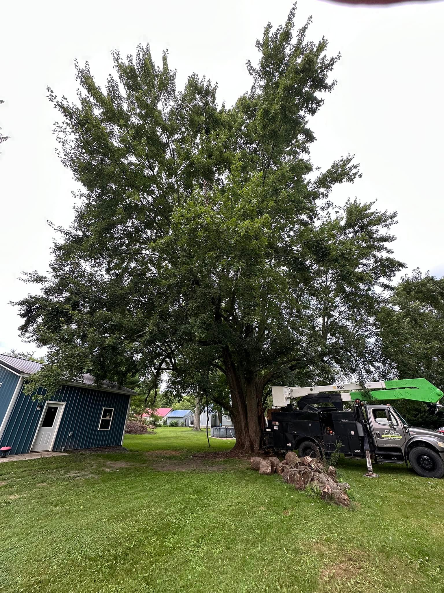 Norcott Tree Service & Excavation | Clyde NY