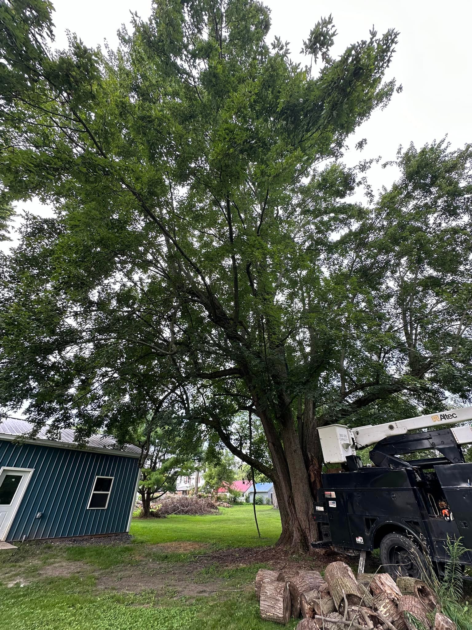 Norcott Tree Service & Excavation | Clyde NY