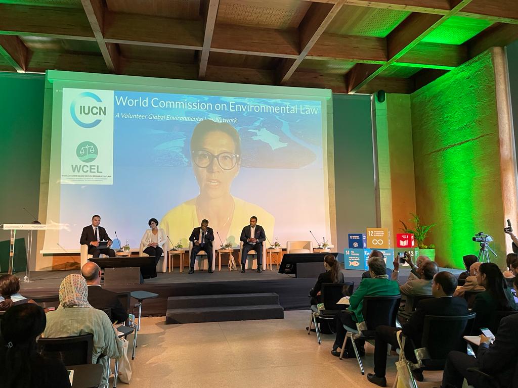 Today, to... - IUCN World Commission on Environmental Law | Facebook