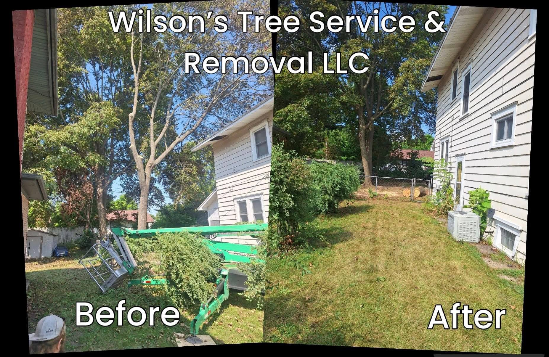 Wilson’s Tree Service | Battle Creek MI