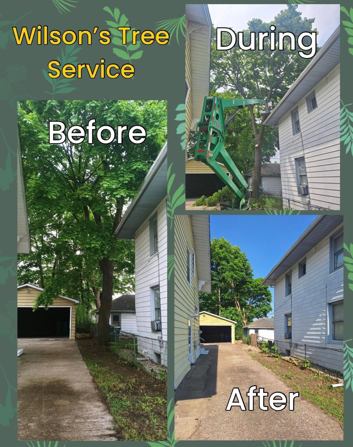 Wilson’s Tree Service | Battle Creek MI