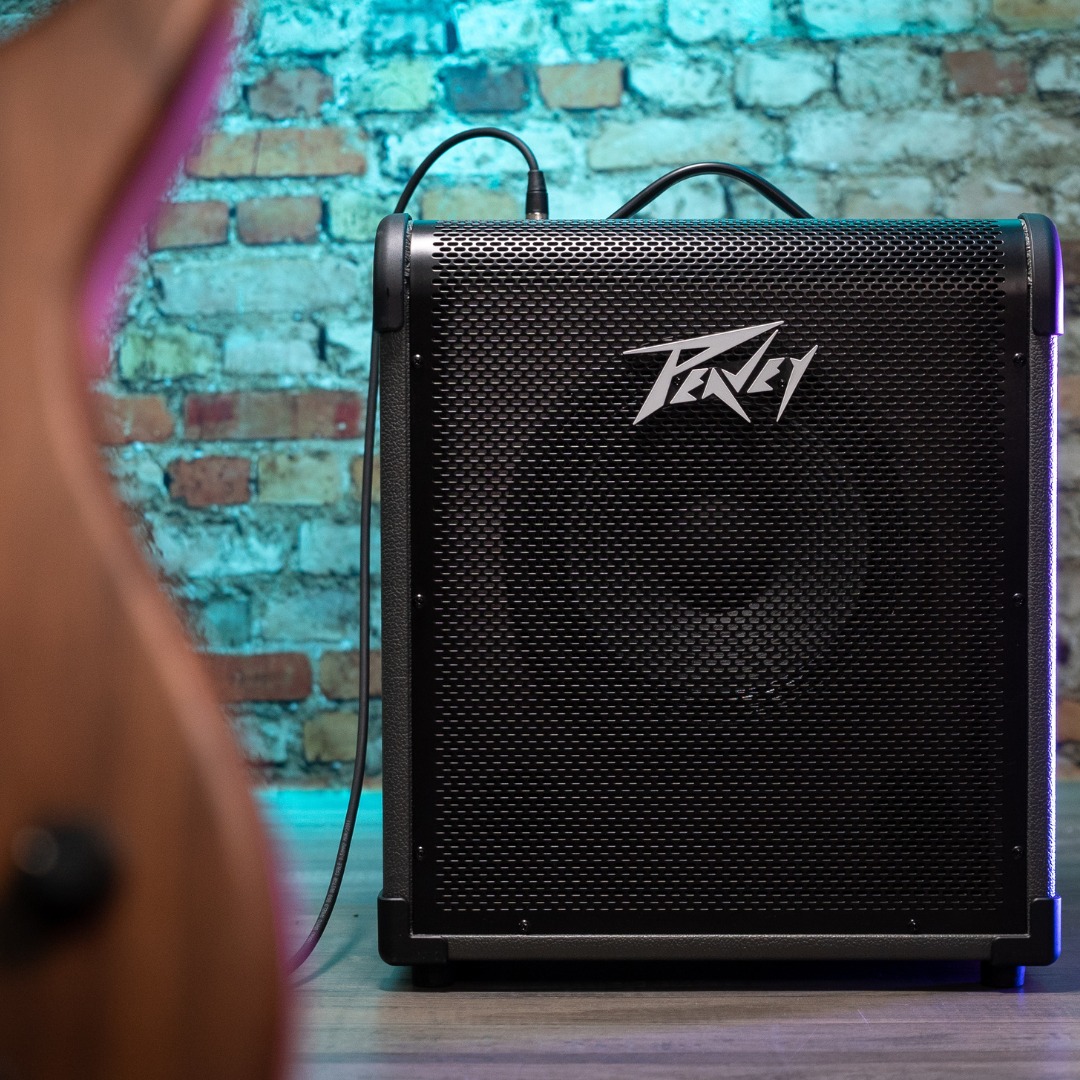Peavey Max 160 bass head amp found at low price