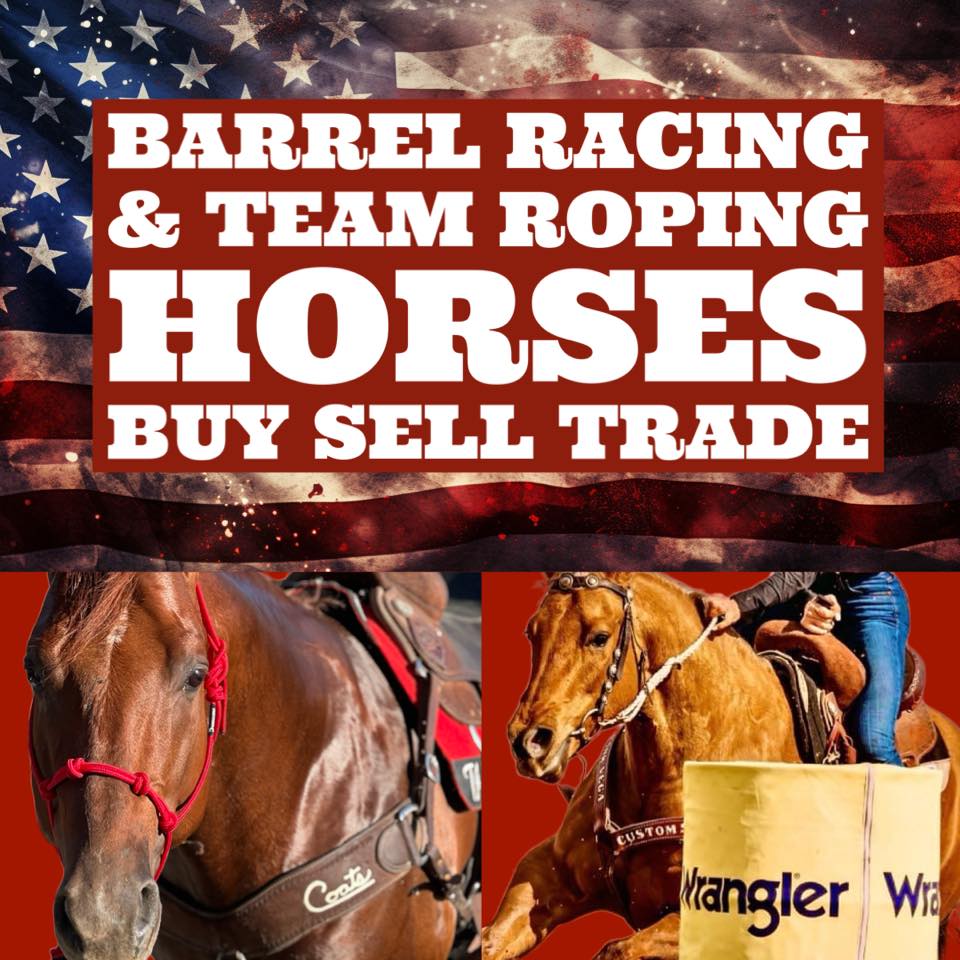 Barrel Racing & Team Roping Horses Buy Sell Trade | Facebook