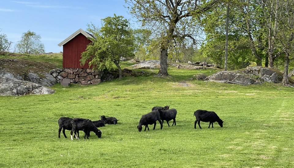 Tunge Gård