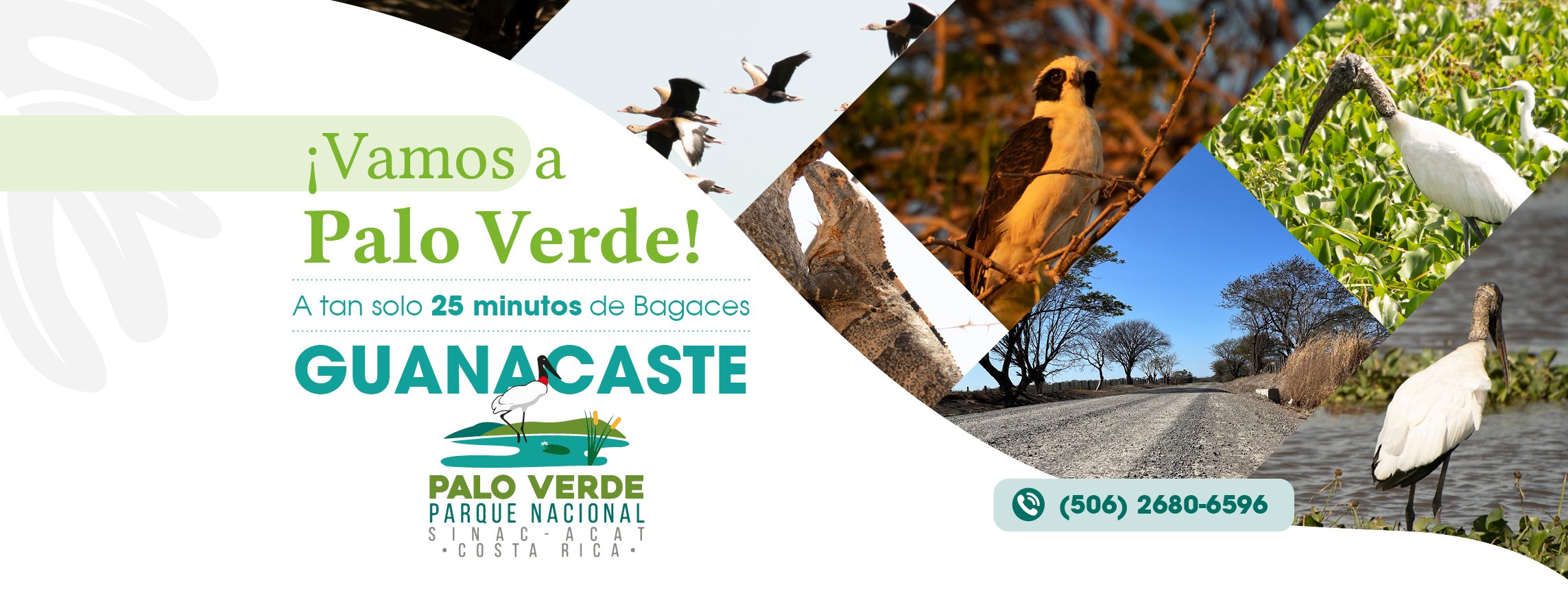 🎟️ ¿Cómo comprar tus... - Parque Nacional Volcán Tenorio ACAT | Facebook
