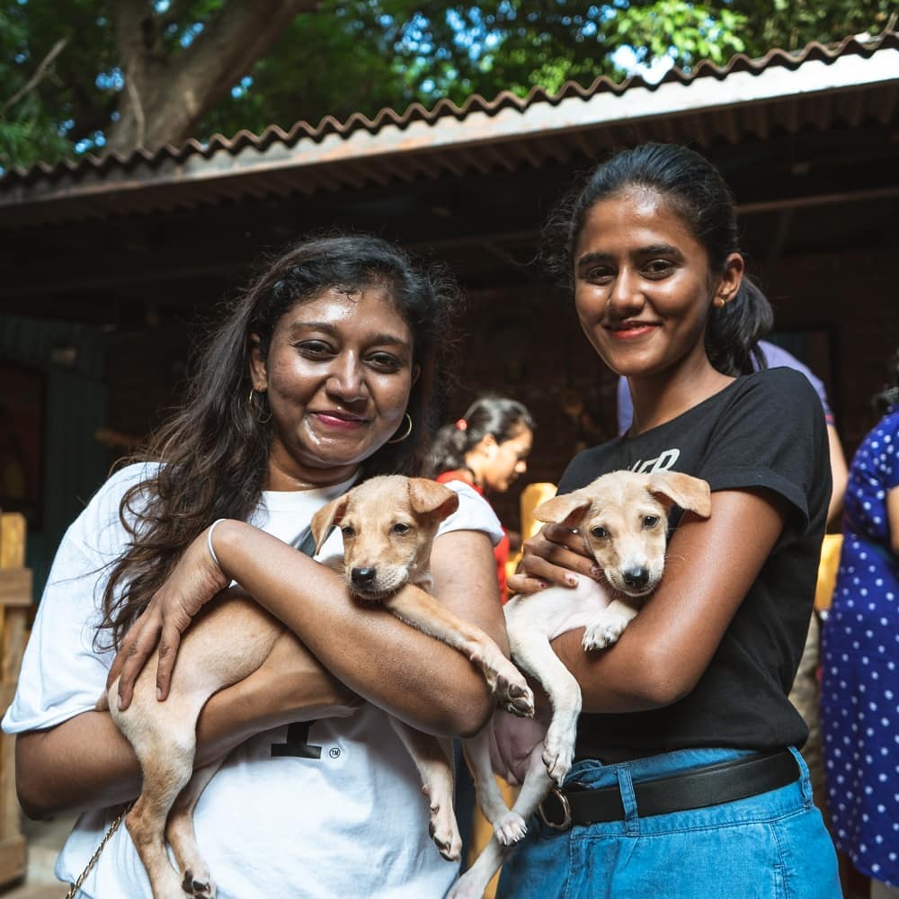 Safe Paws Rescue and Adoption Center - Home