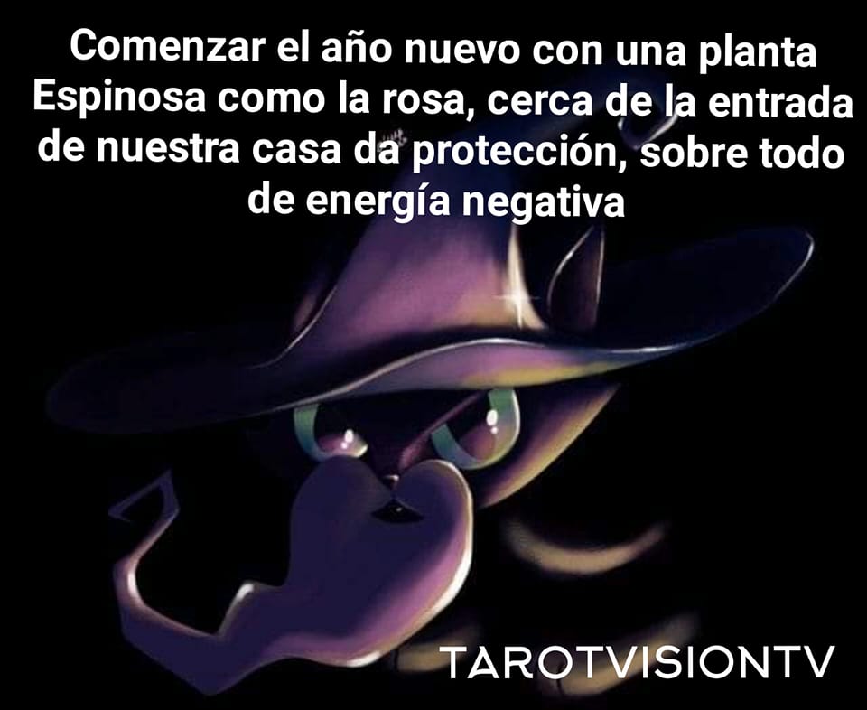 TAROTVISION